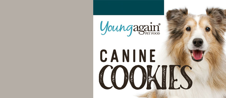 housedesigntips Young Again Cat Food Review