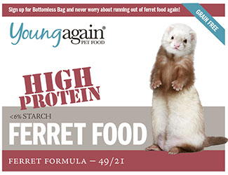 distressed dog mom hat