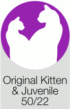 Original 50/22 Cat & Kitten