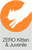 ZERO Cat & Kitten