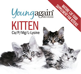 kitten supplement