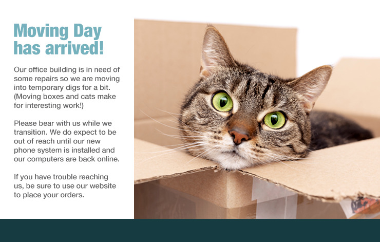 Cat in a box