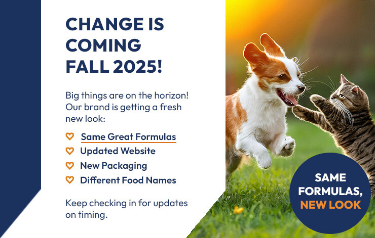 changeiscoming