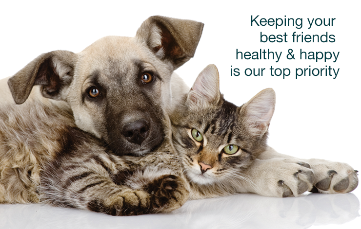 Keeping your best friends healthy and happy is our top priority