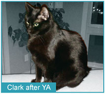 Clark after