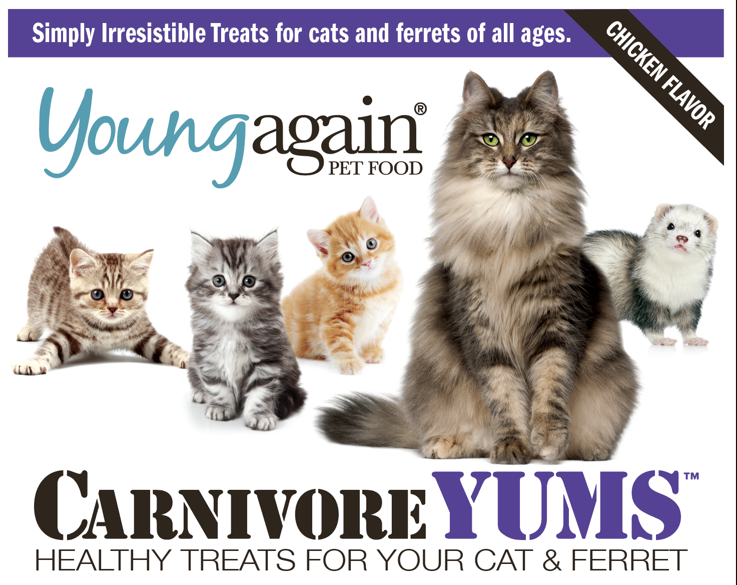 CarnivoreYUMS for Cats and Ferrets