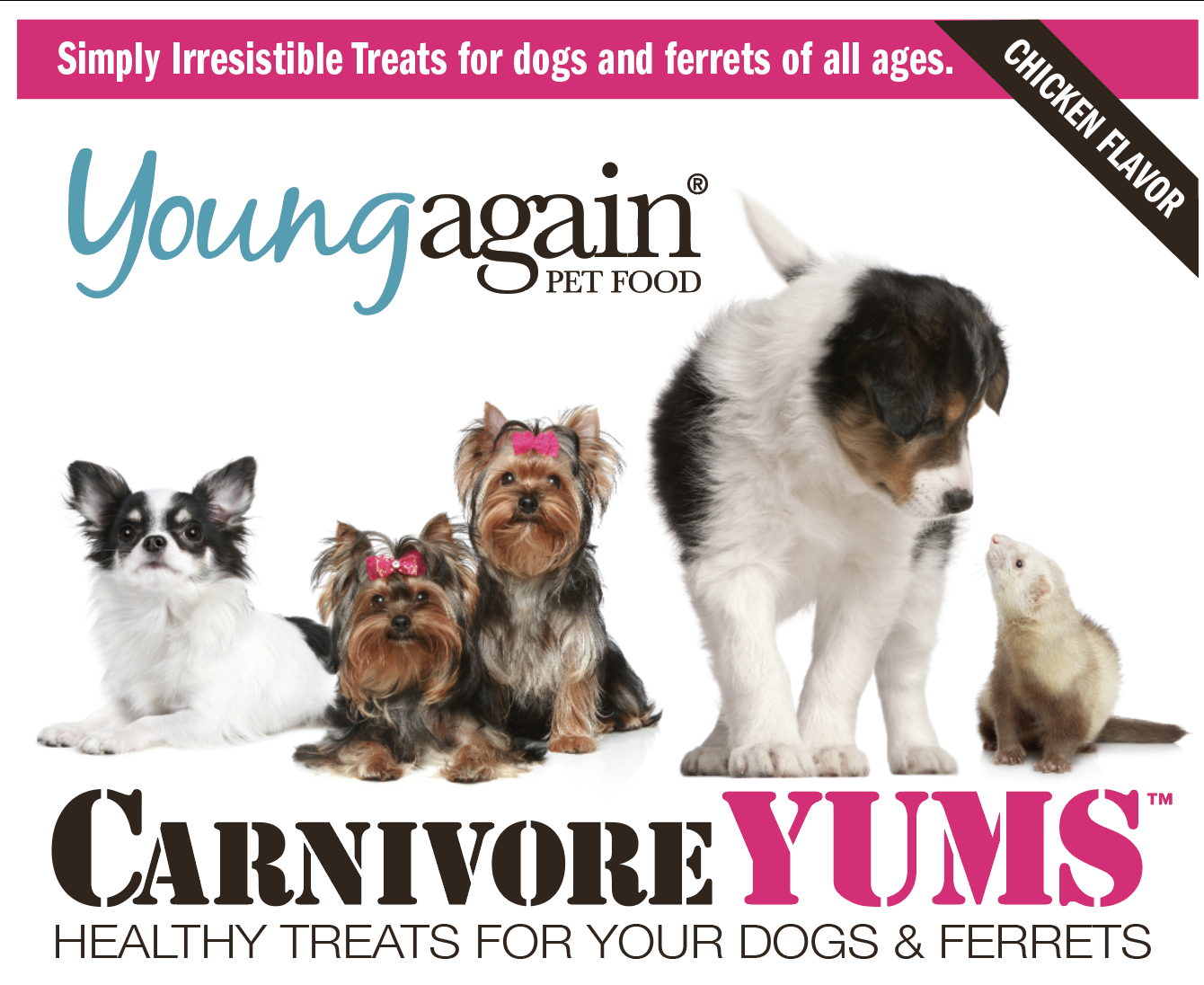CarnivoreYUMS for Dogs and Ferrets