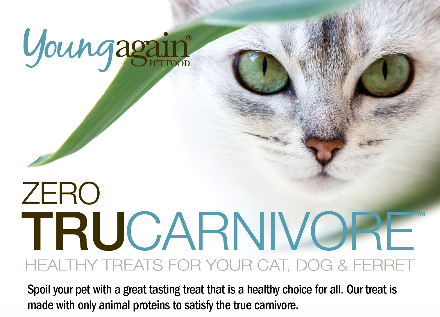 TruCarnivore Zero Treats