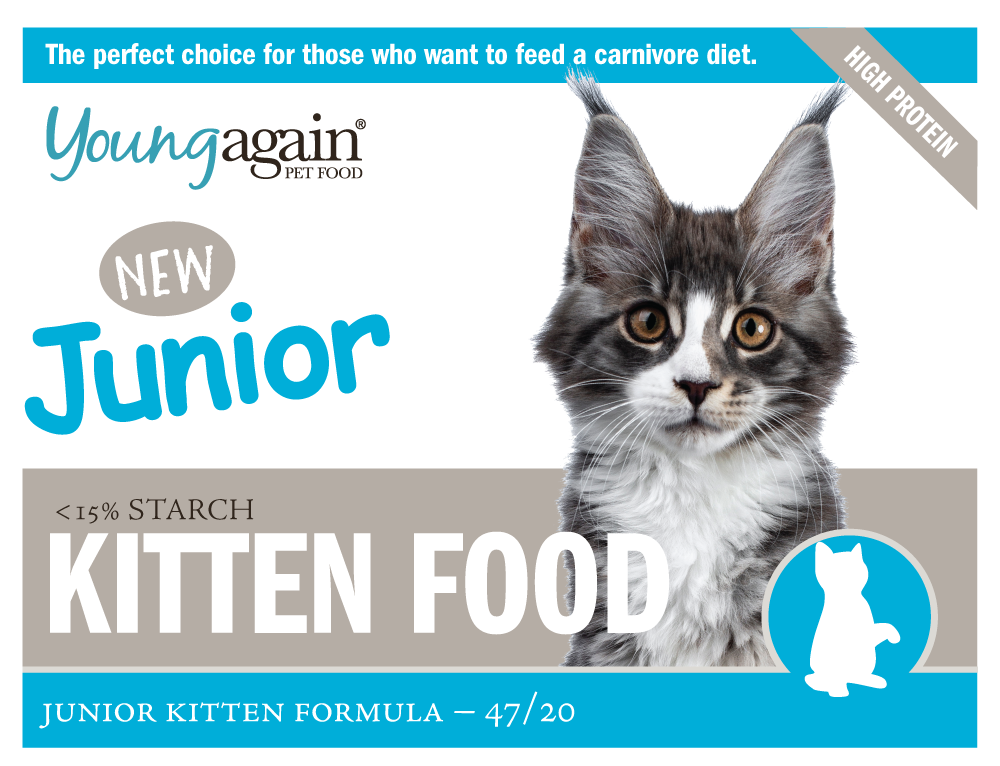 Junior Kitten Food