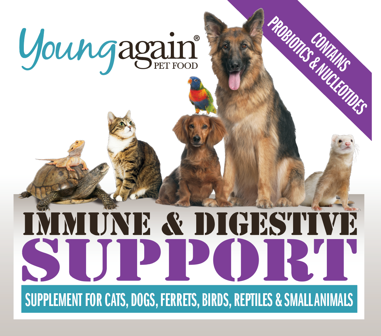 Immune & Digestive Support Supplement