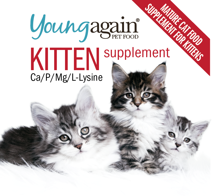 Kitten Supplement