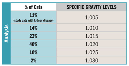 Protein Levels In Urine Chart