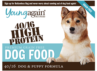 4016 Dog Food