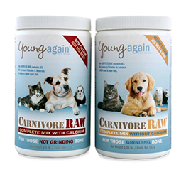 carnivore raw dog food