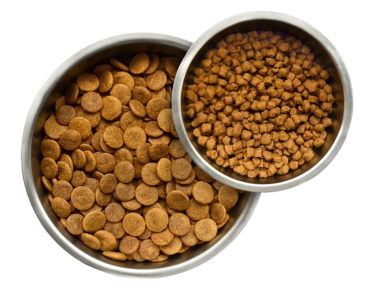 young again dog and cat food